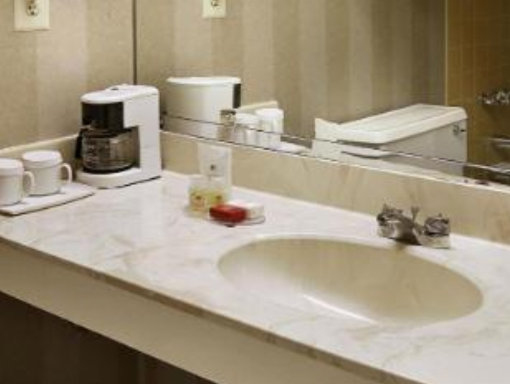 Ramada by Wyndham Augusta Downtown Hotel & Conference Center Image 7